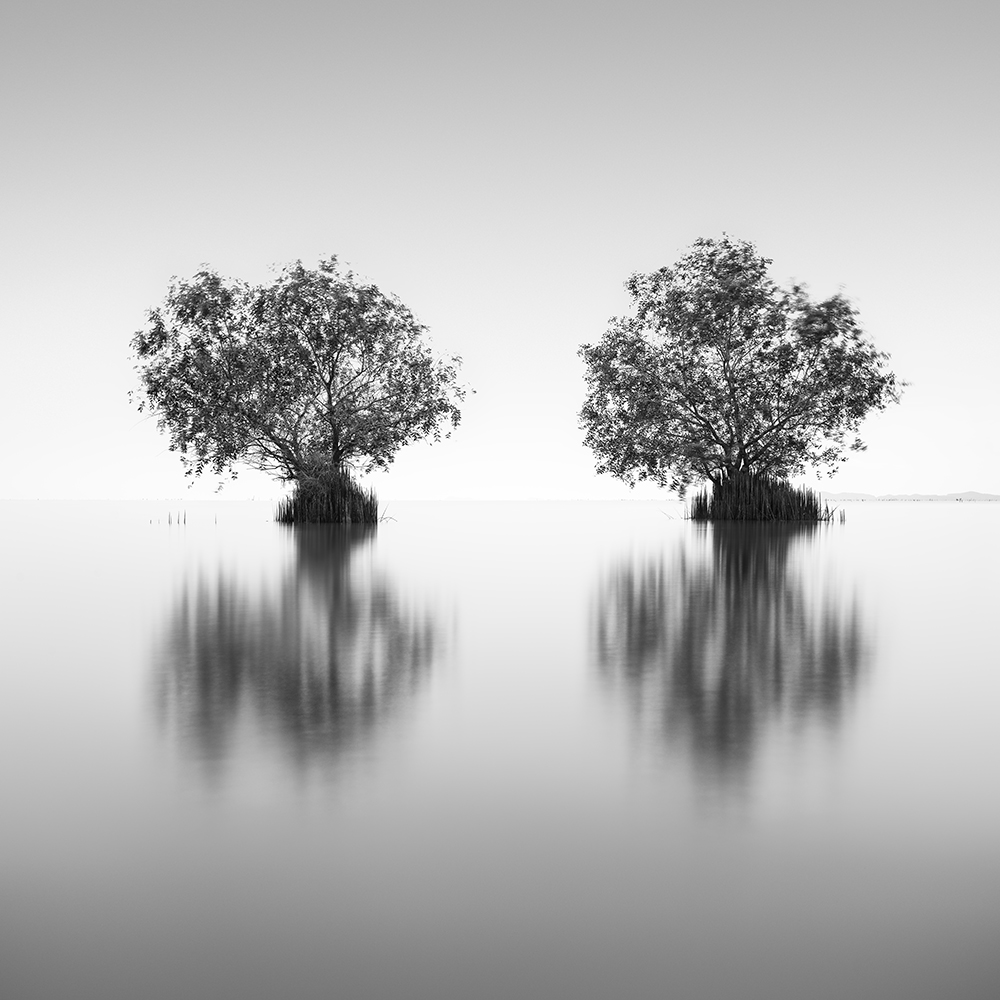 TWiN BoRN -Thailand -2022