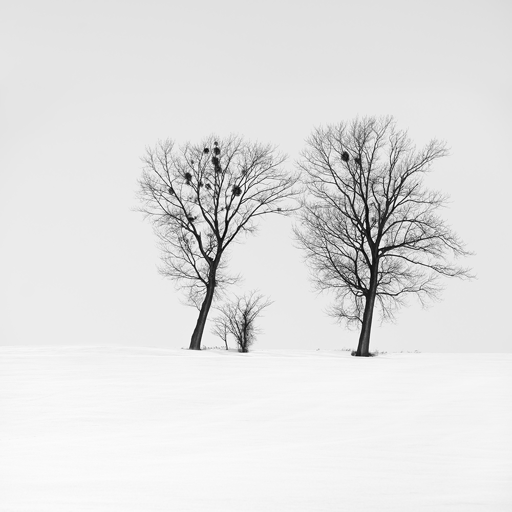 FAMILY -HOKKAIDO -JAPAN -2024