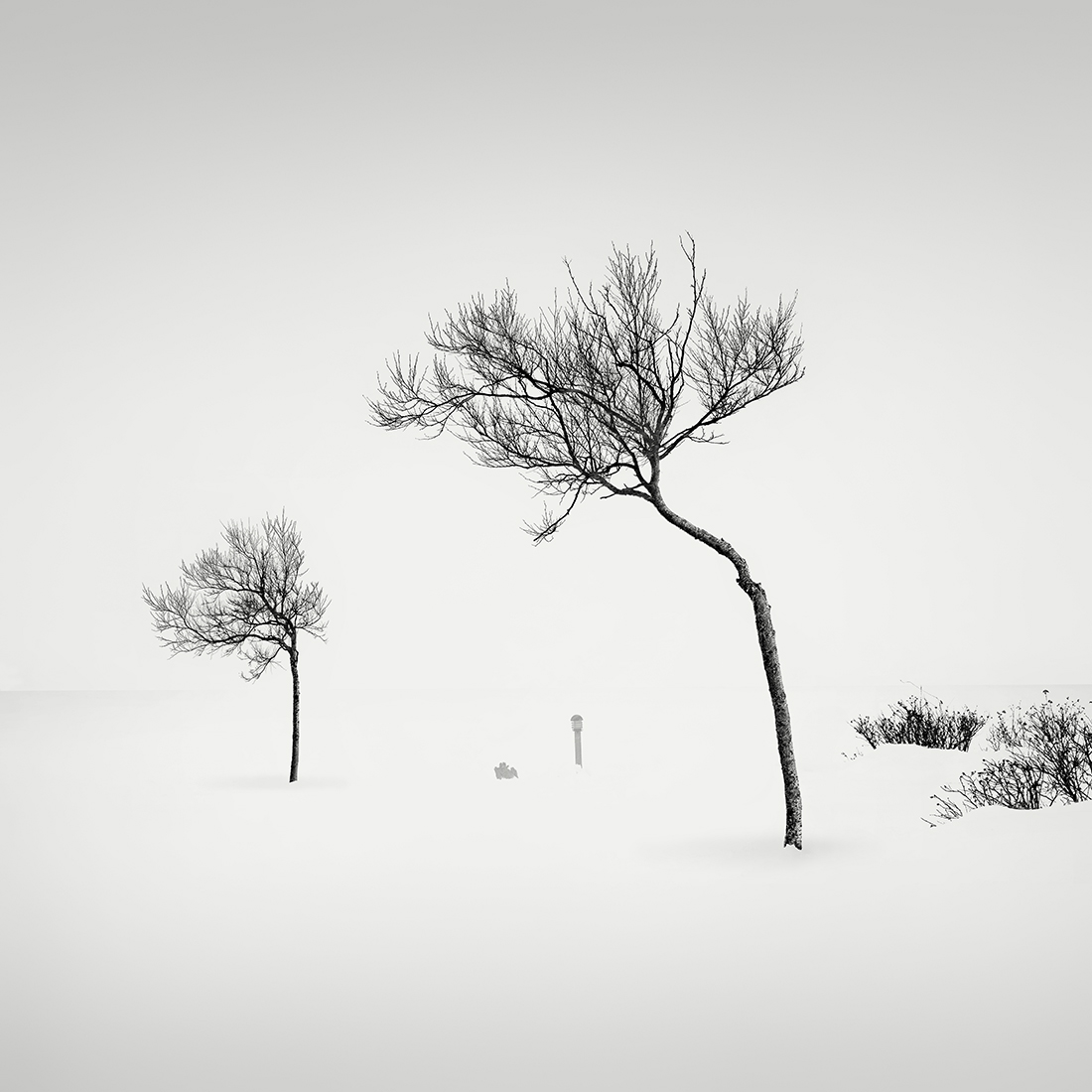 SNOW TREES NO.44 -ABASHIRI -HOKKAIDO -2018