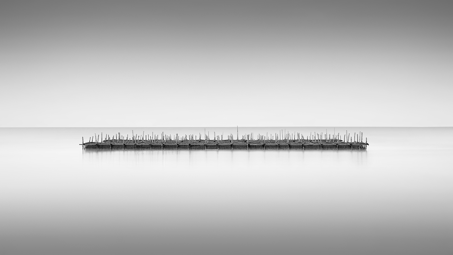 OYSTER FARM -THAILAND -2019