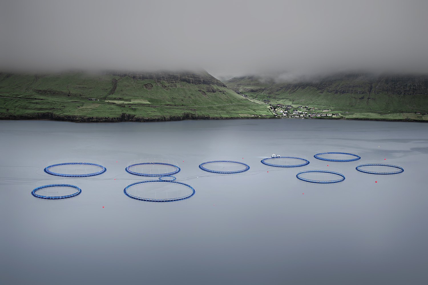 SALMON FISH FARM -FAROE ISLANDS