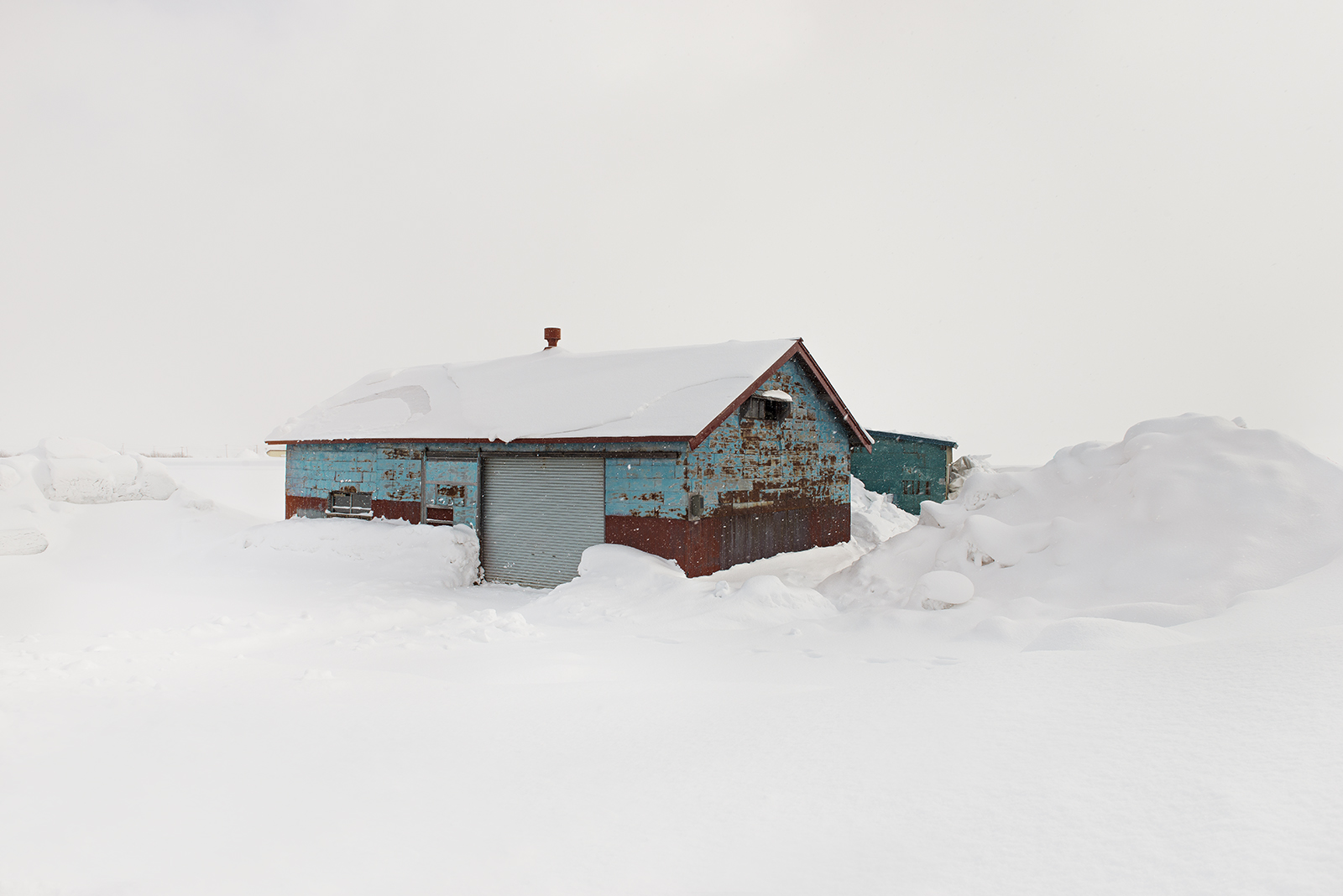 TROJ -LITTLE BLUE IN WHITE