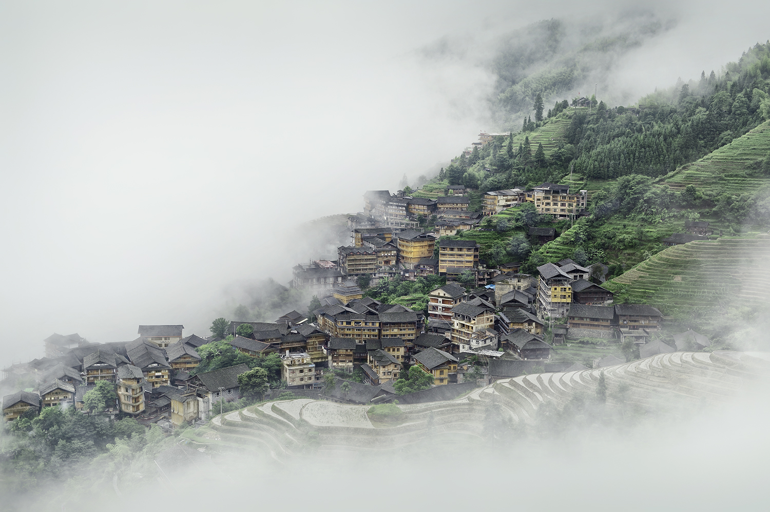 SHAN ZAI -GUILIN -CHINA -2017
