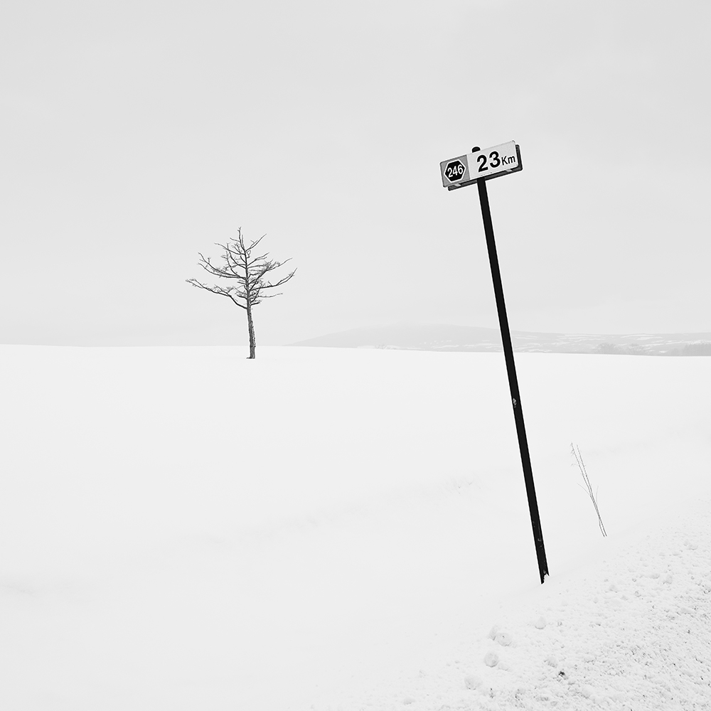 GUIDANCE -HOKKAIDO -JAPAN -2018