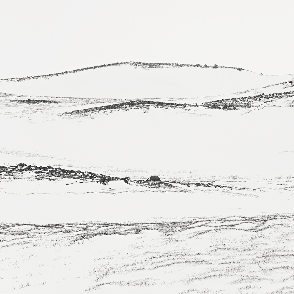 SNJOFJALL NO.6 -ICELAND -2022