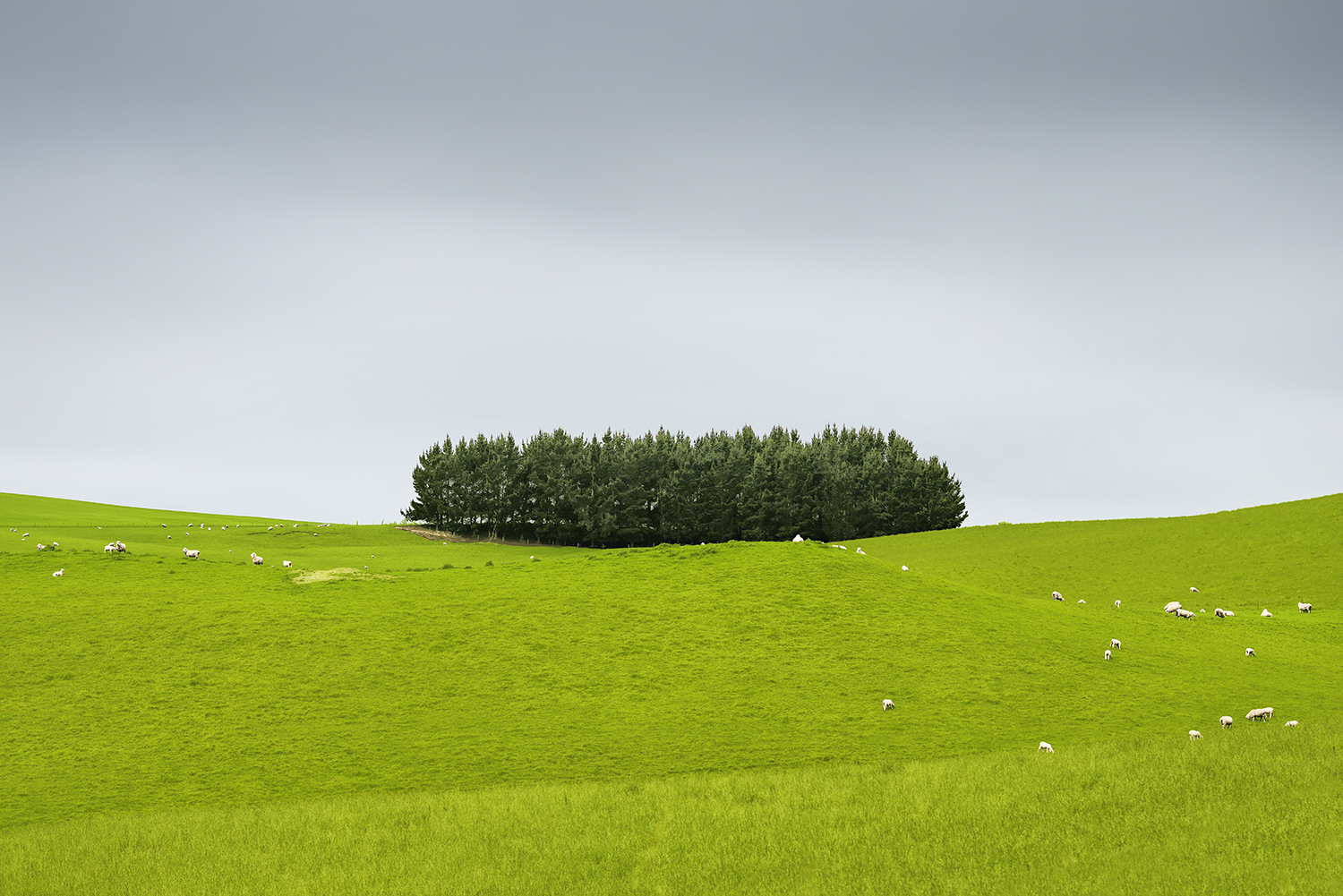 UNBOUNDED NO.4 -NEW ZEALAND -2018
