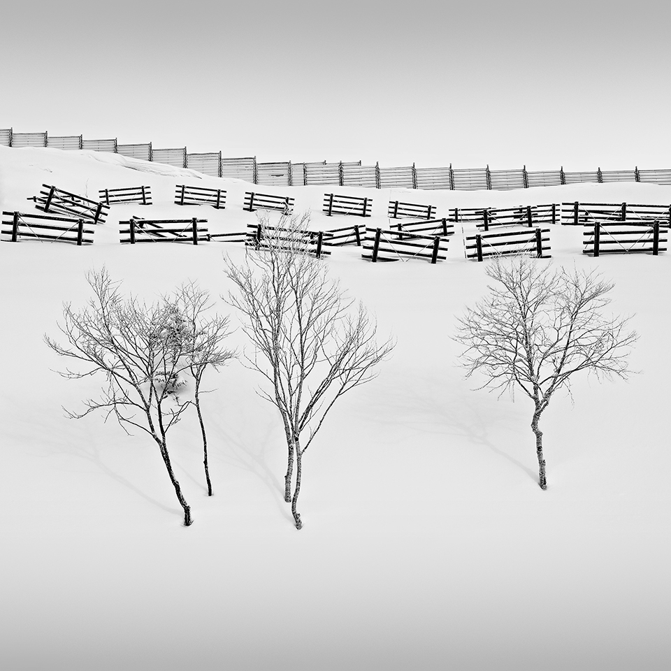 SNOW FENCE NO.4 -HOKKAIDO -2017
