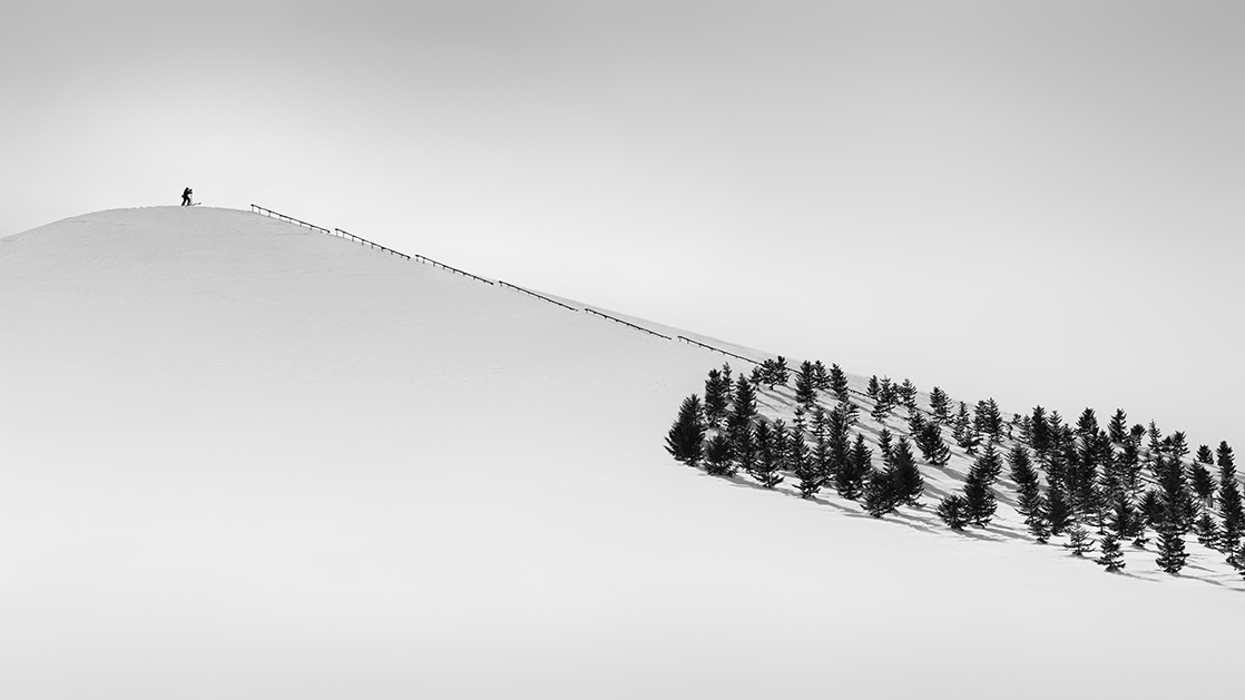 WORM TREE NO.9 -SAPPORO -HOKKAIDO -2017