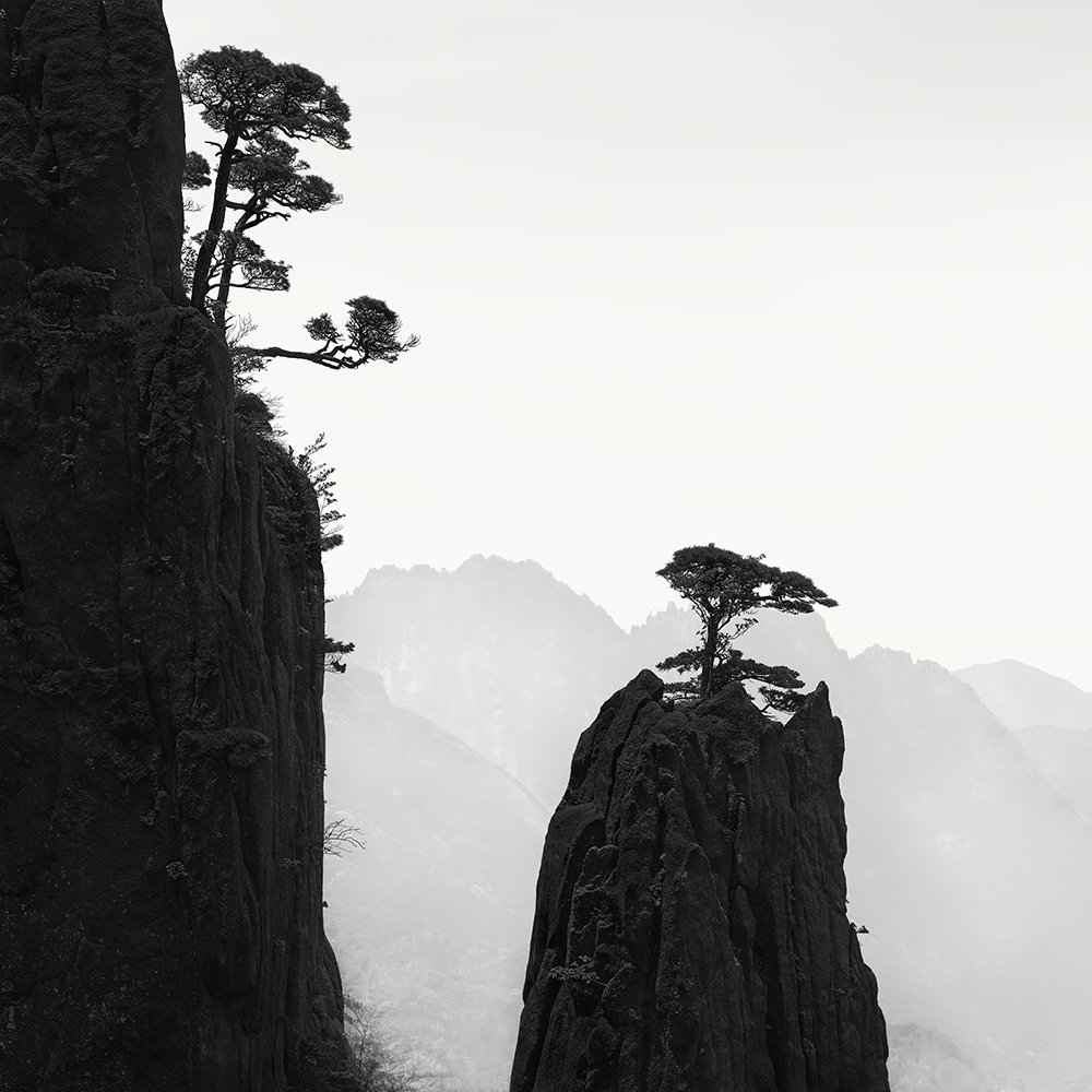 黄山 TREES NO.13 -HUANGSHAN -CHINA -2019