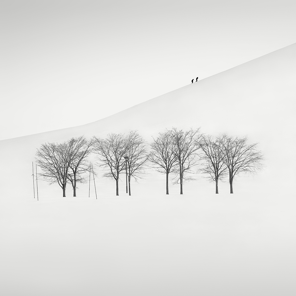 SNOW TREE NO.41 -SAPPORO -HOKKAIDO -2017