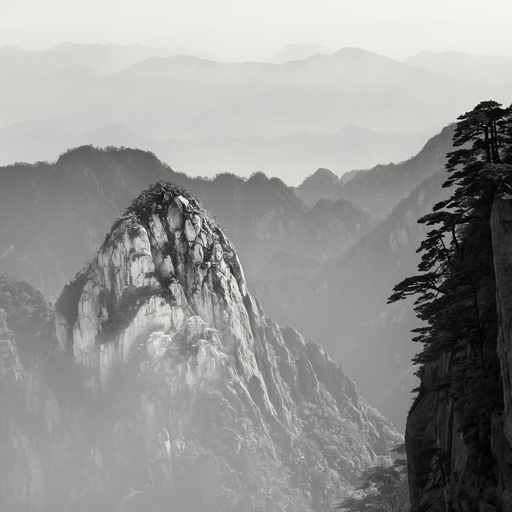 黄山 TREES NO.3 -ANHUI -CHINA -2019