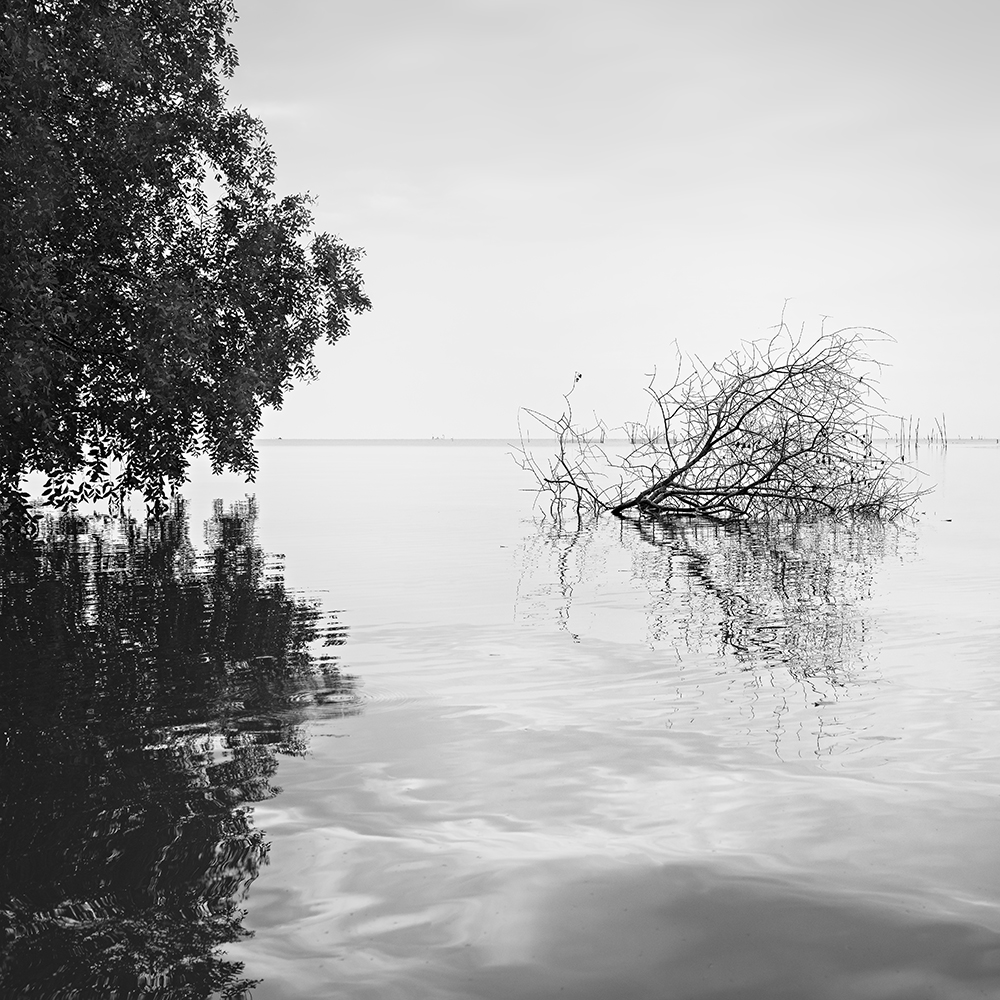 LIFE AND DEATH -THAILAND -2022