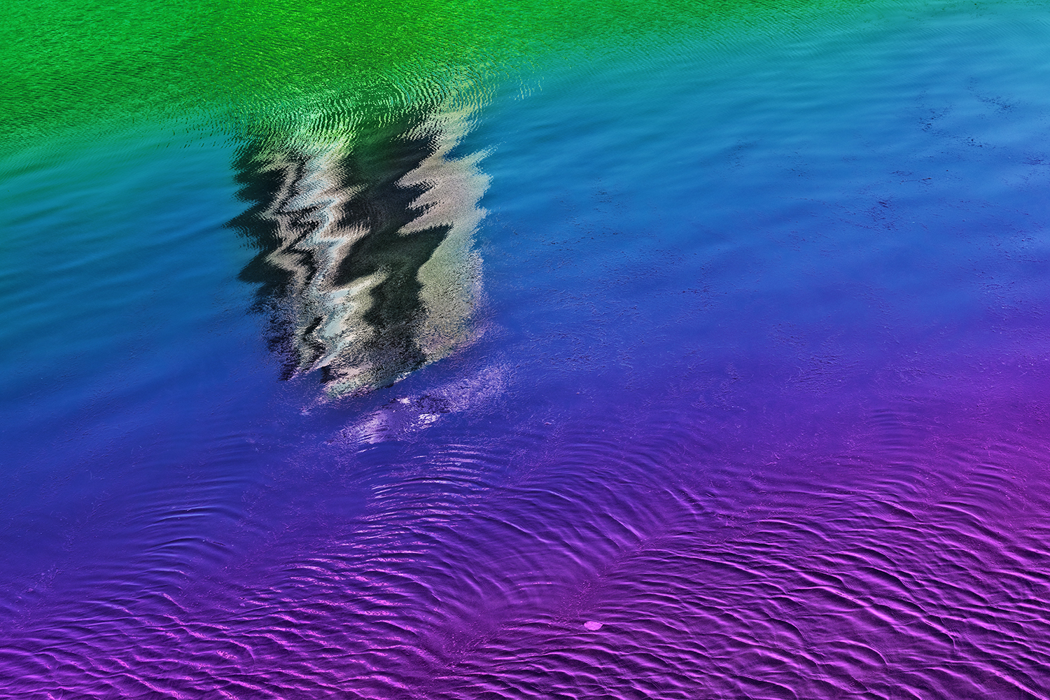 REFLECTION -HONSHU -JAPAN -2019