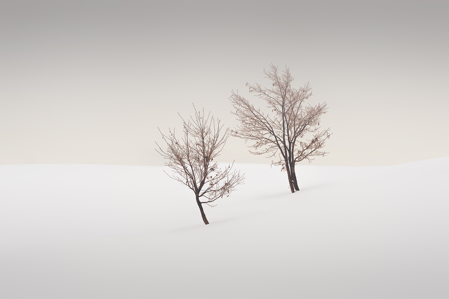 SISTER -BIEI -HOKKAIDO -2017