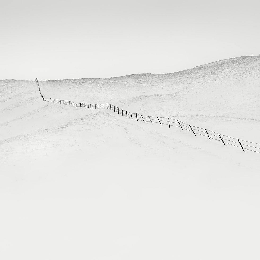 HILL FENCE NO.5 -TESHIKAGA -HOKKAIDO -2018