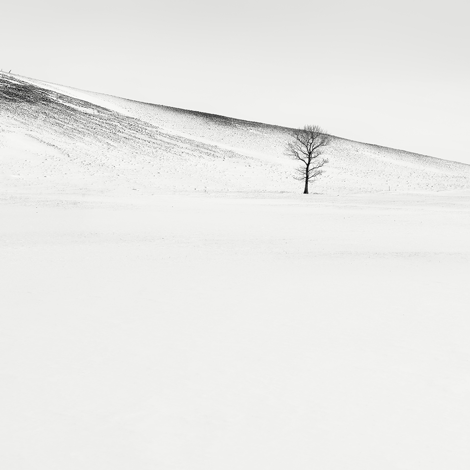 SNOW TREE NO.67 -TESHIKAGA -HOKKAIDO -2018