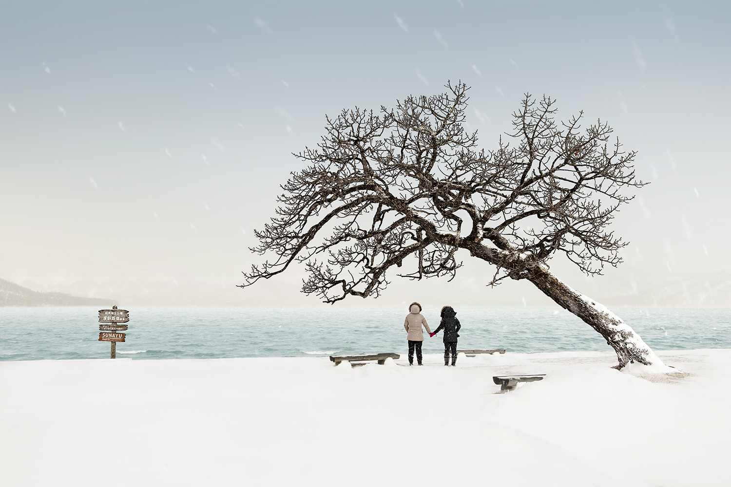 TOGETHER -TESHIKAGA -HOKKAIDO -2018