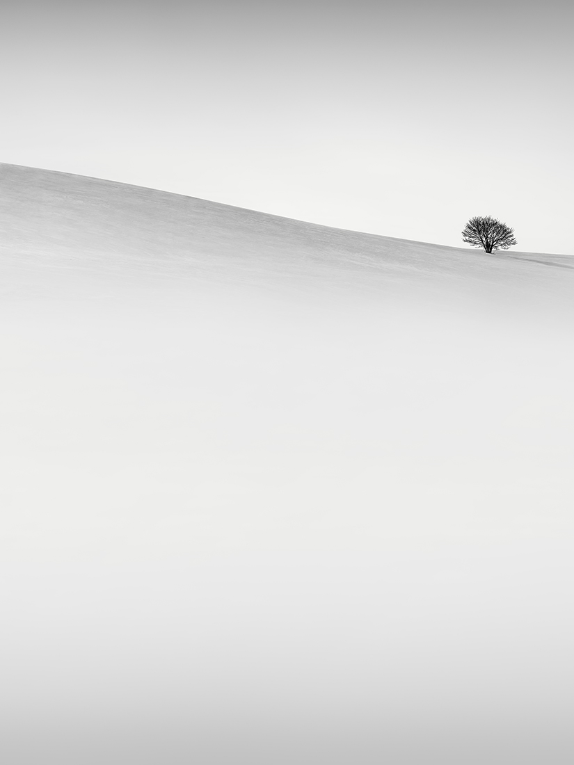 SNOW TREE NO.63 -BIEI -HOKKAIDO -2018