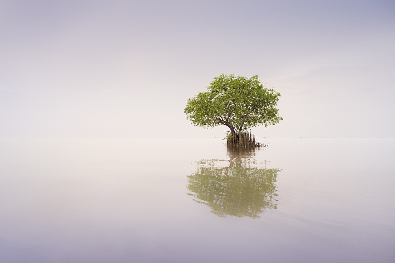 SOLITARY NO.4 -THAILAND -2018
