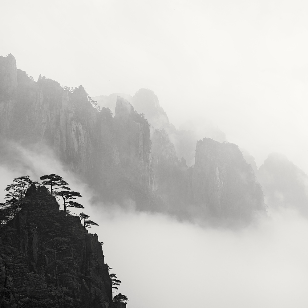 黄山 TREES NO.10 -ANHUI -CHINA -2019