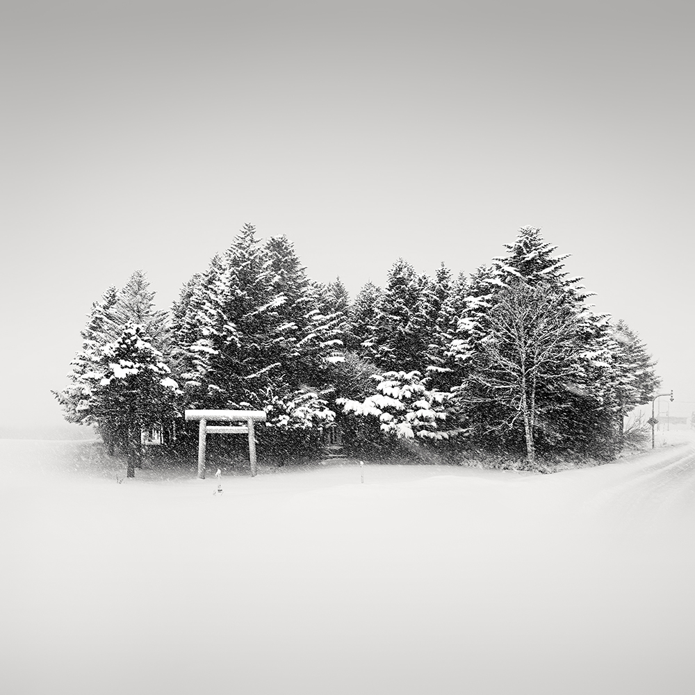 TORII GATE NO.2 -HOKKAIDO -2018