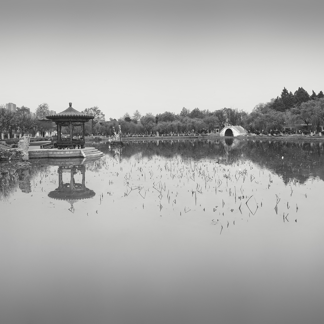 DA GUAN GARDEN NO.2 -YUNNAN -CHINA -2018