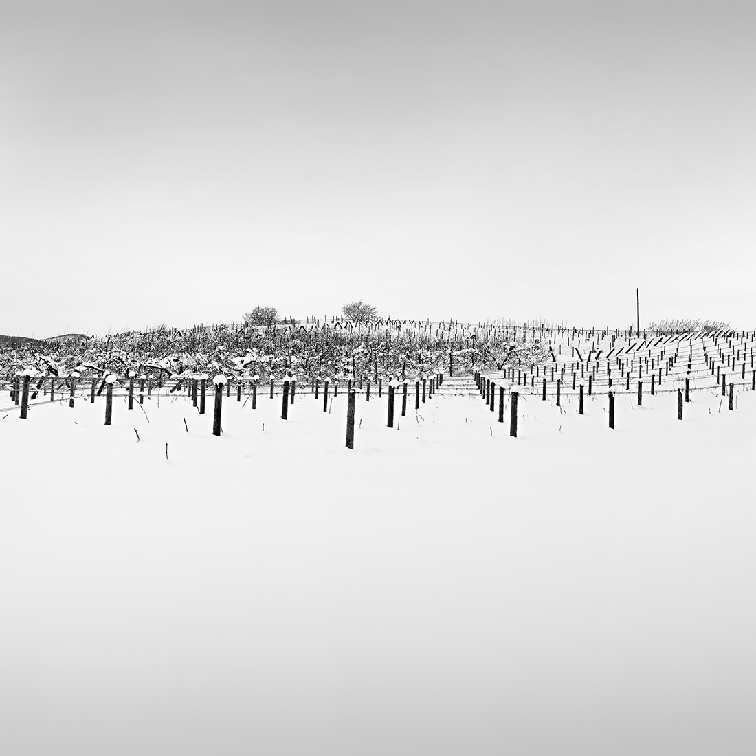 MINICHROME  NO.31 -YOICHI -HOKKAIDO -2018