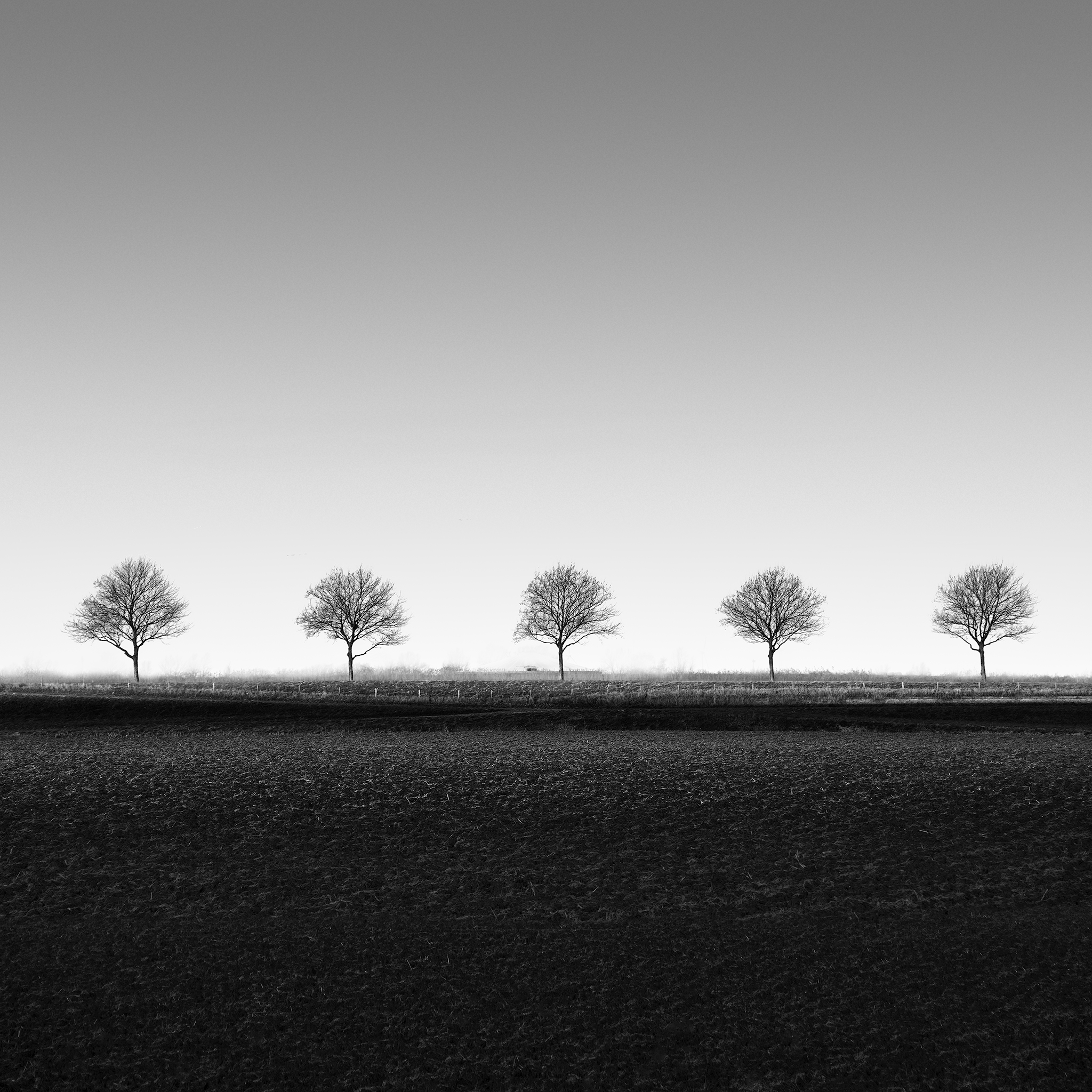 VOIDLINE OF FIVE -NETHERLANDS -2025