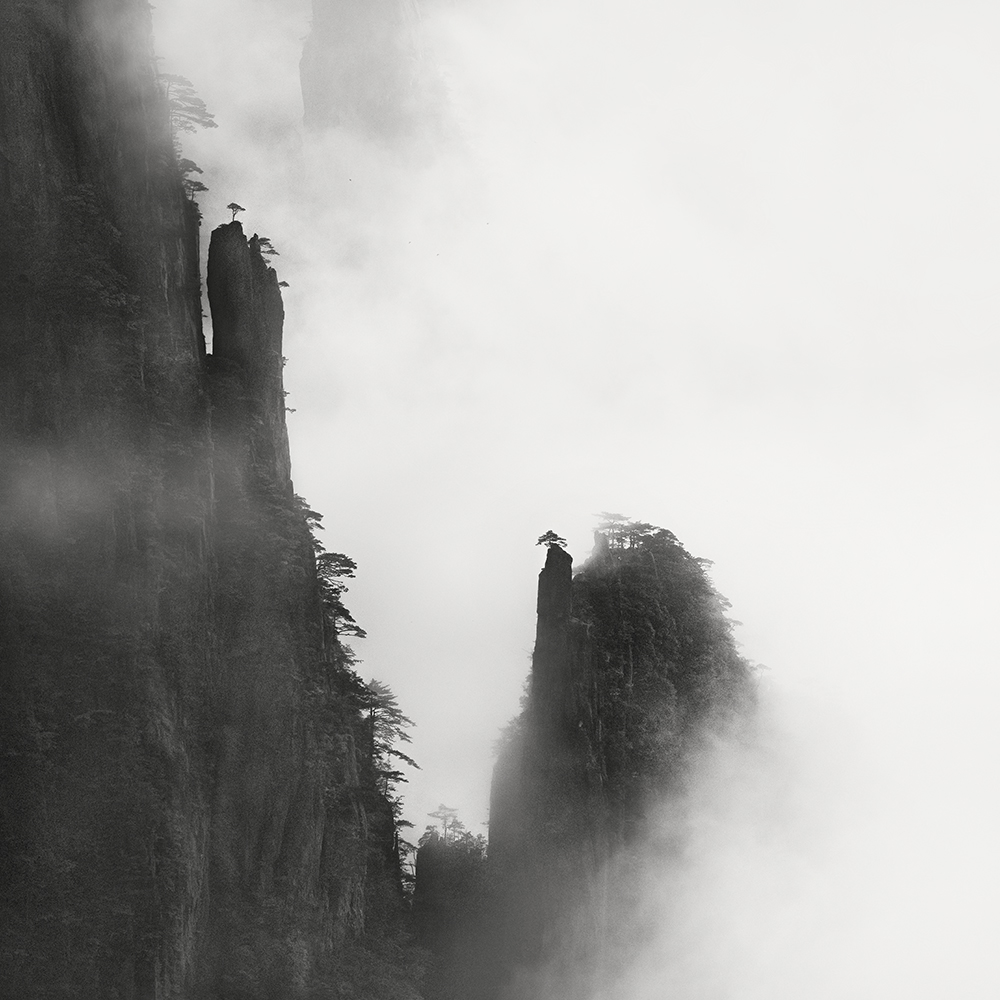 黄山 TREES NO.2 -ANHUI -CHINA -2019