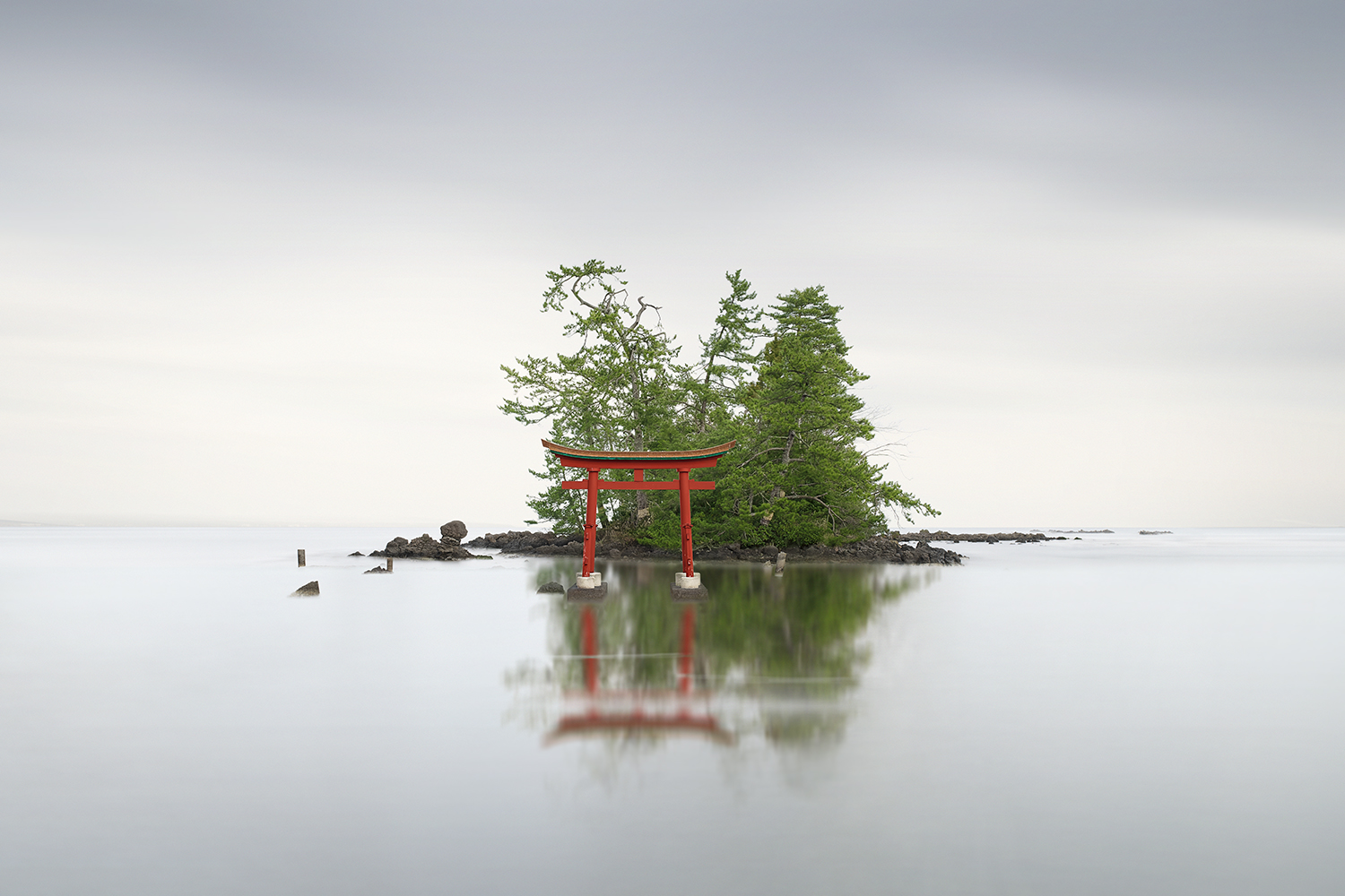 GATE TORII NO.21 -HONSHU -JAPAN -2019
