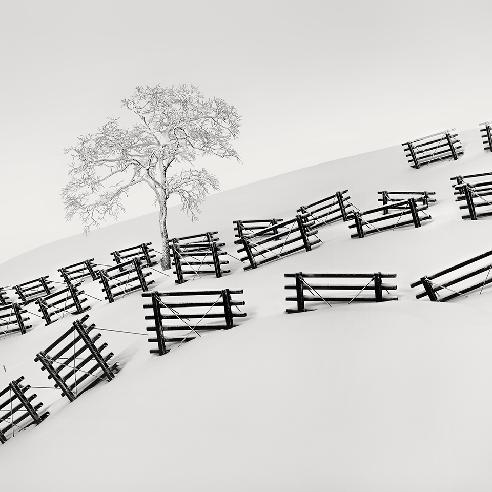 SNOW FENCE NO.5 -HOKKAIDO -2017