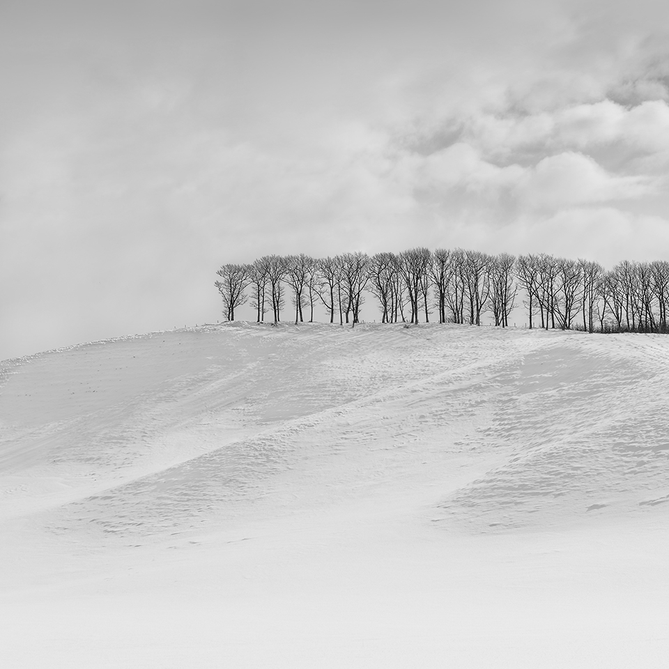 SNOW TREE NO.11 -TESHIKAGA -HOKKAIDO -2017