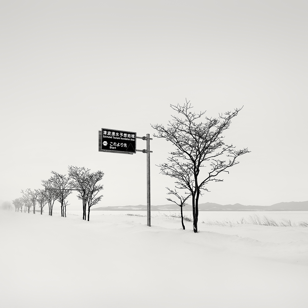 SNOW TREES NO.45 -HOKKAIDO -2018