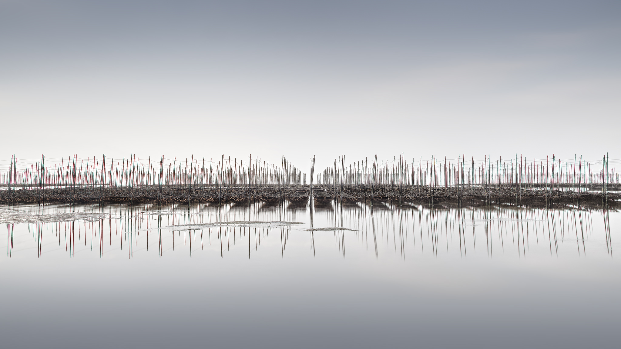 SEAWEED FARM NO.5 -HONSHU -JAPAN -2019
