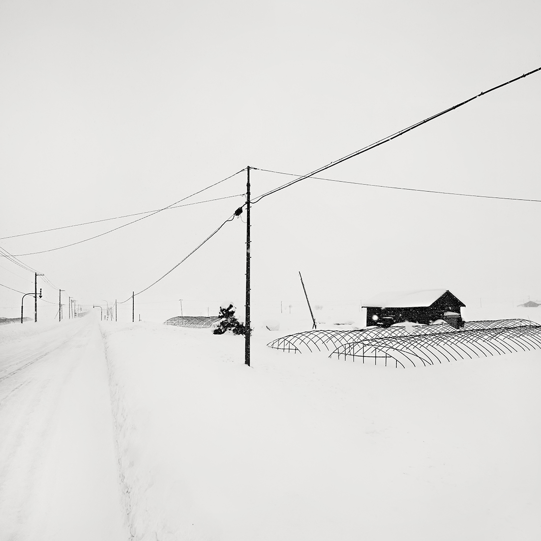SKY LINES -SHIBETSU -HOKKAIDO -2018