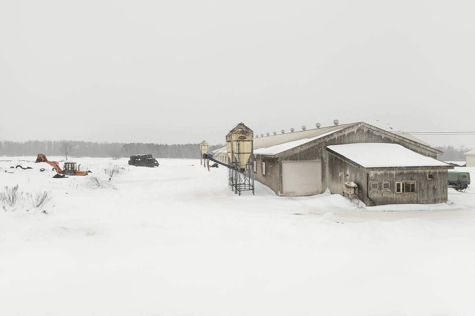 TROJ -WINTER SHELVING
