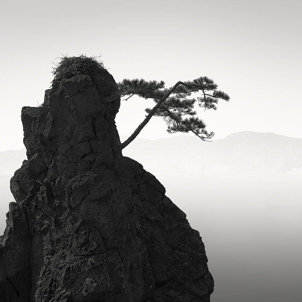 SURVIVOR -KYUSHU -JAPAN -2019