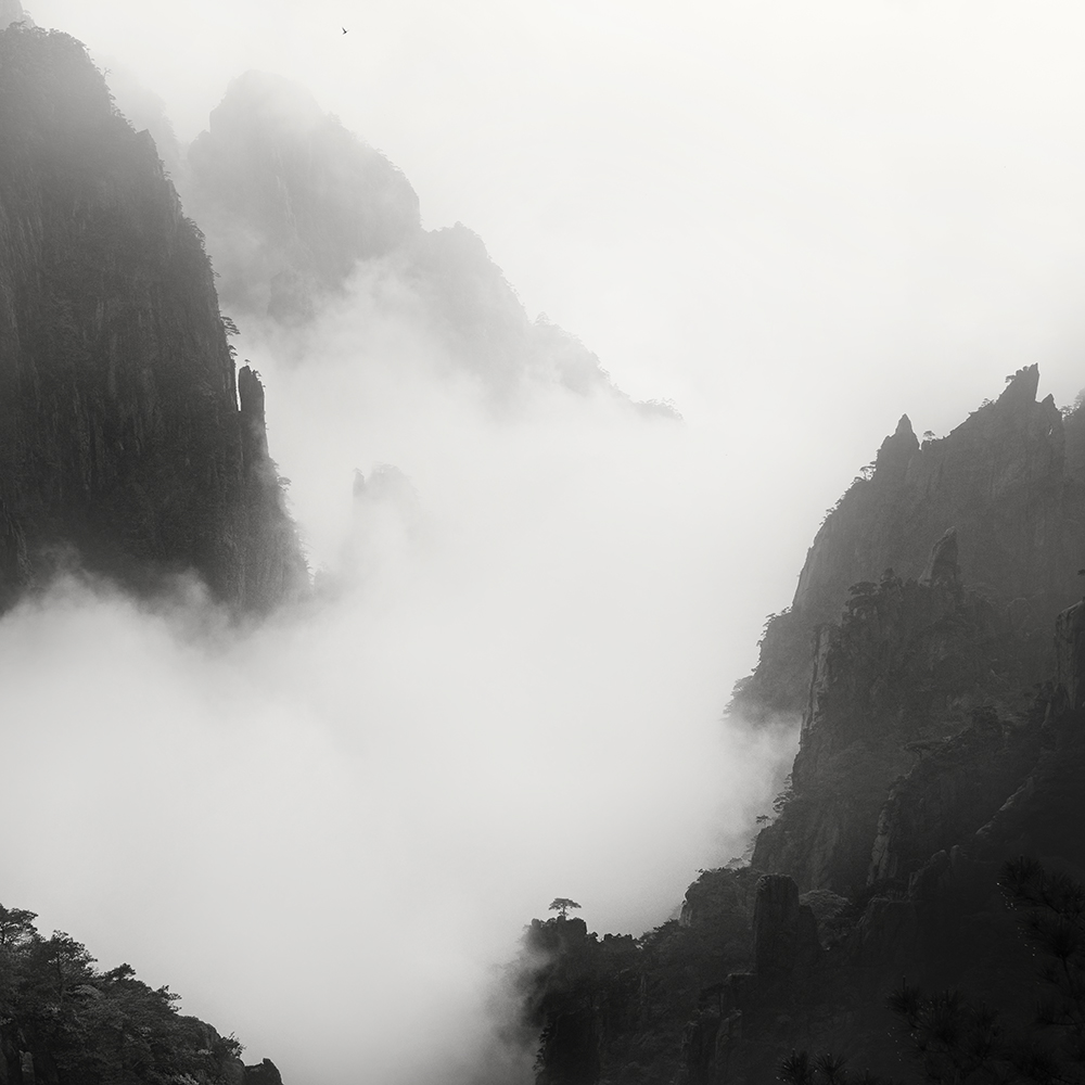黄山 MOUNTAINS NO.7 -ANHUI -CHINA -2019