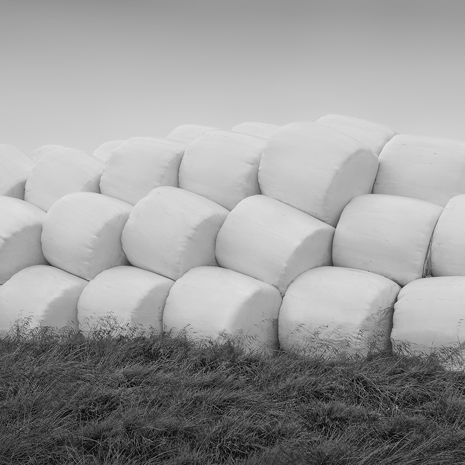 LITTLE WHITE NO.3 -ICELAND -2016