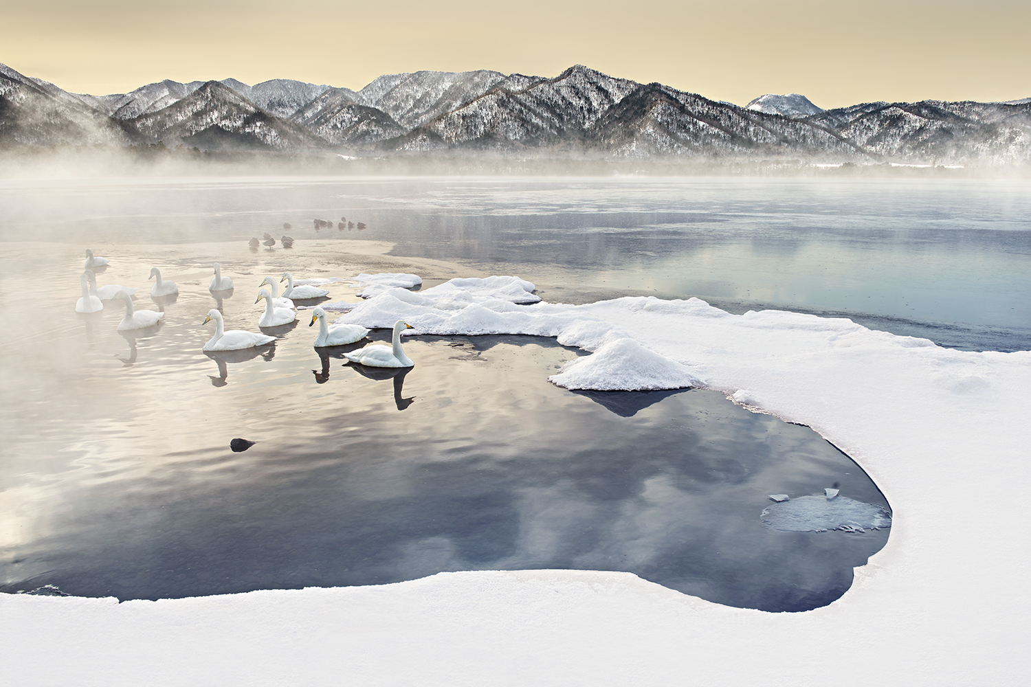 SWAN LAKE -TESHIKAGA -HOKKAIDO -2018