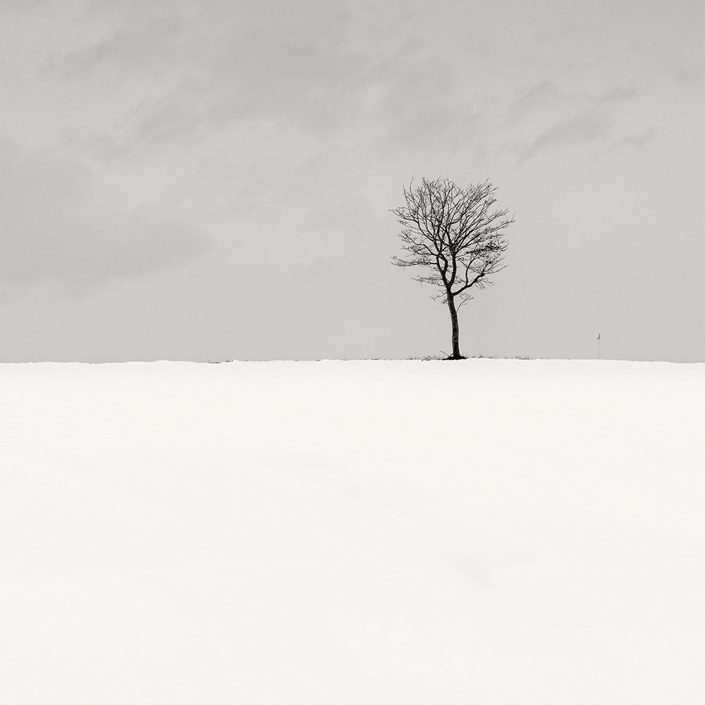 SNOW TREE NO.69 -HOKKAIDO -2017