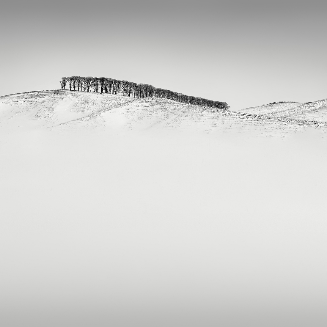 SNOW TREES NO.66 -TESHIKAGA -HOKKAIDO -2018