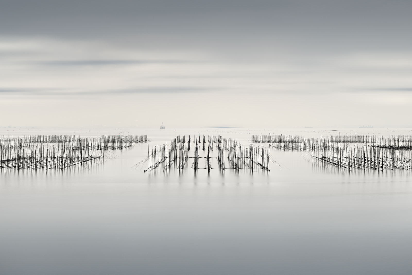 SEAWEED FARM NO.4 -HONSHU -JAPAN -2019
