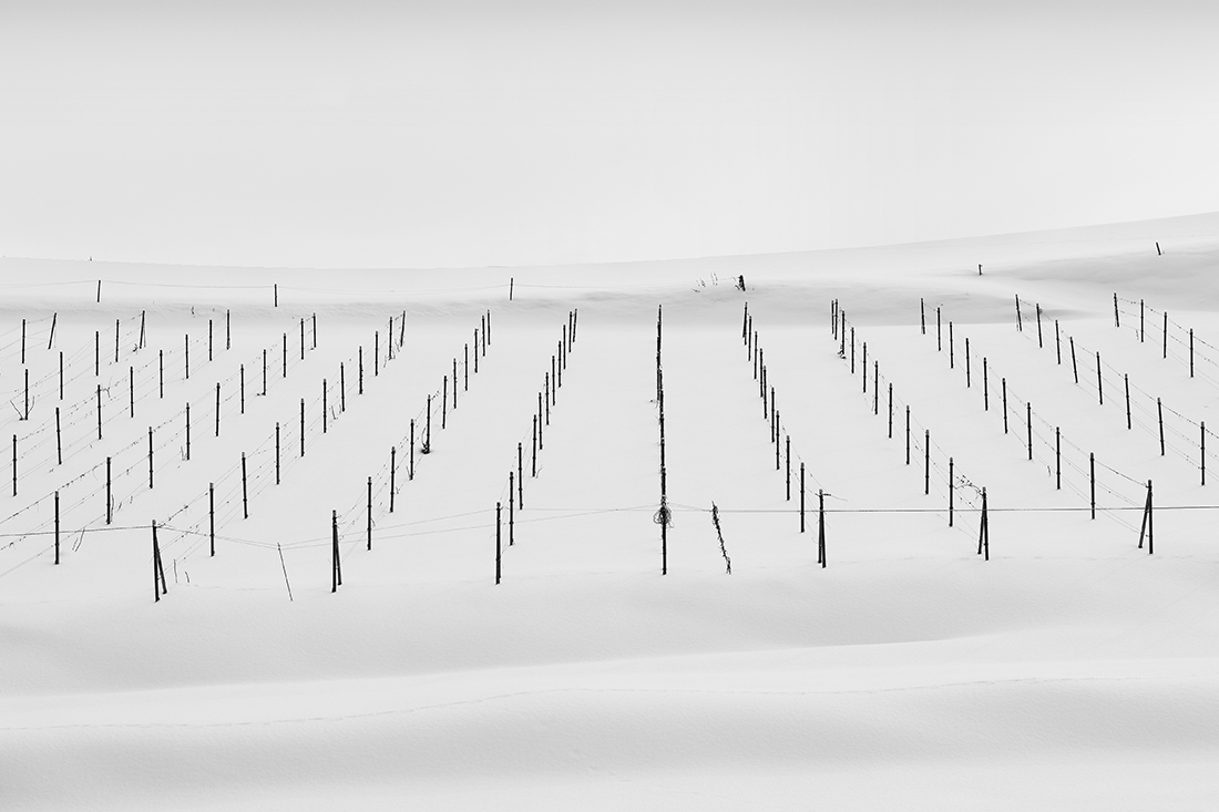 MINICHROME NO.25 -FURANO -HOKKAIDO -2017