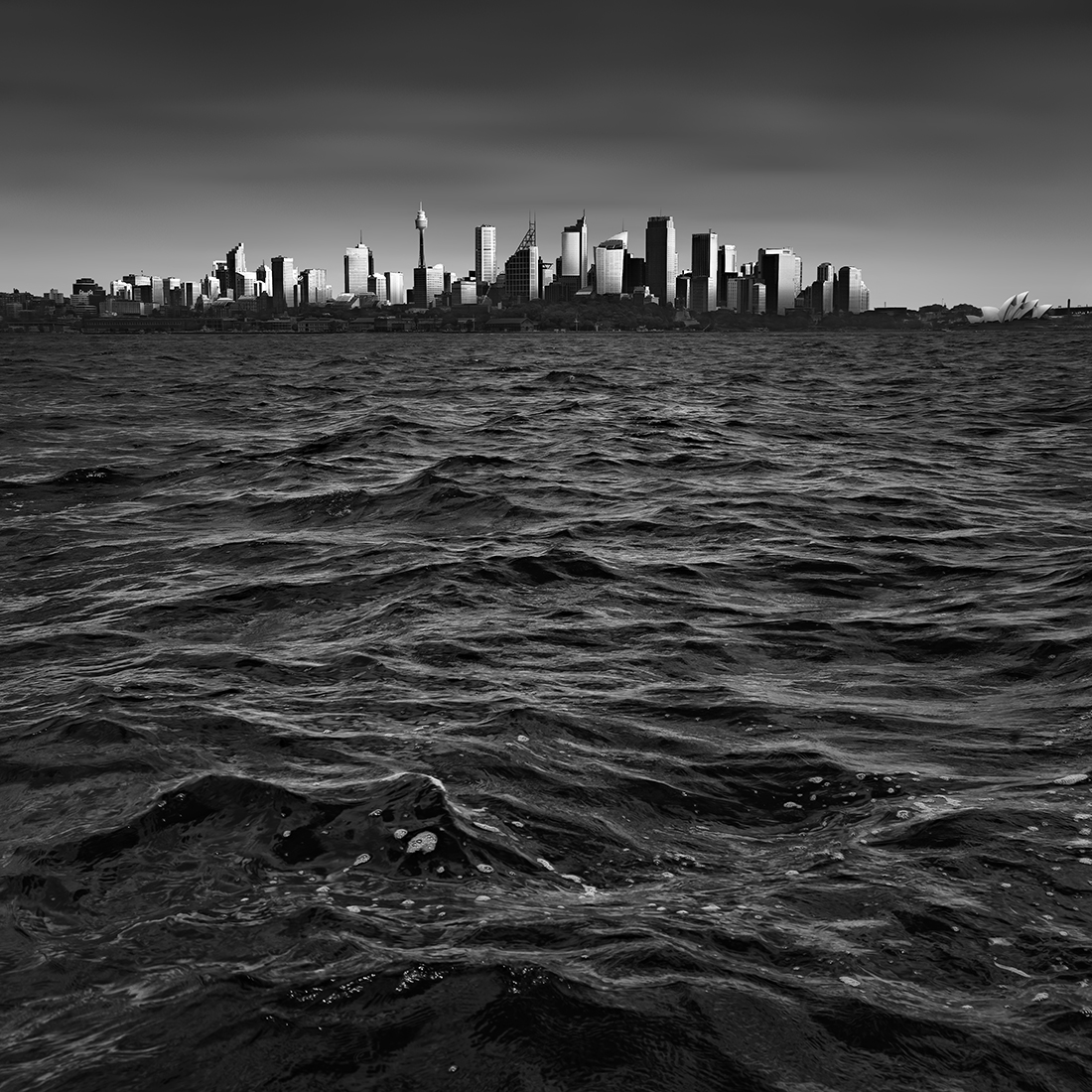 SKYLINE -SYDNEY -AUSTRALIA -2017
