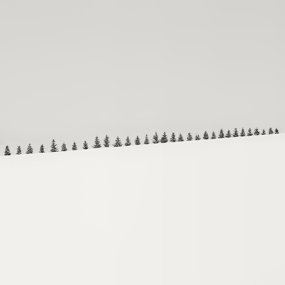 THIRTY ONE TREES -ABASHIRI -HOKKAIDO -2018