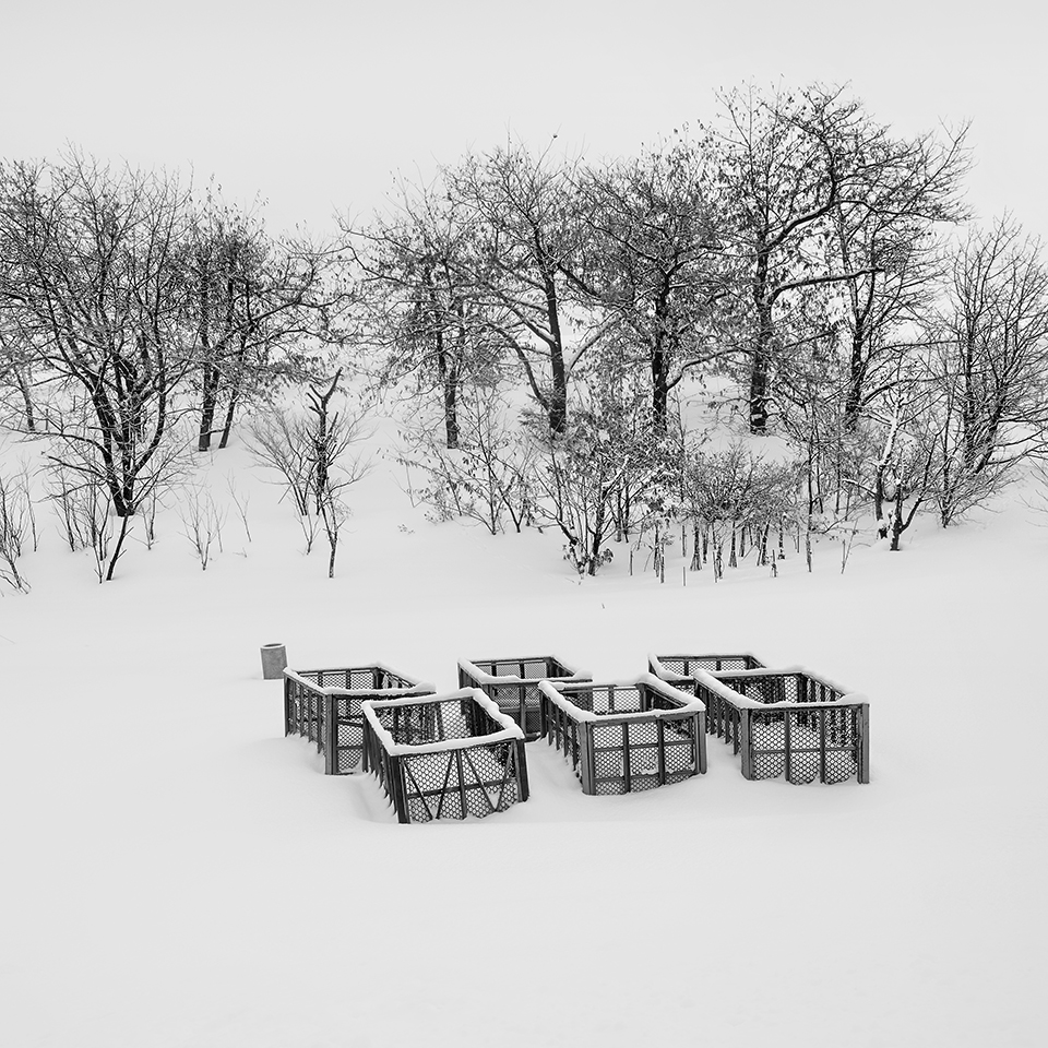 SNOW BASKET -FURANO -HOKKAIDO -2017