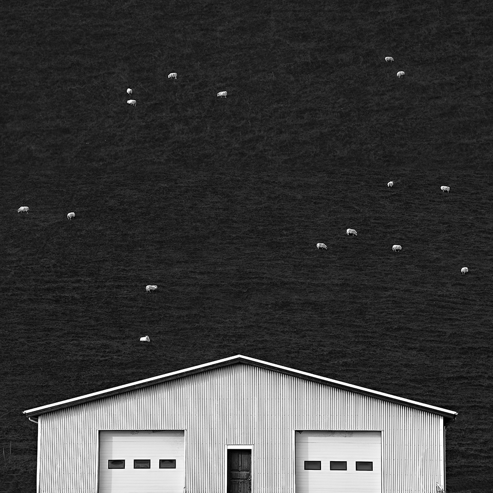 LITTLE STAR -ICELAND -2016