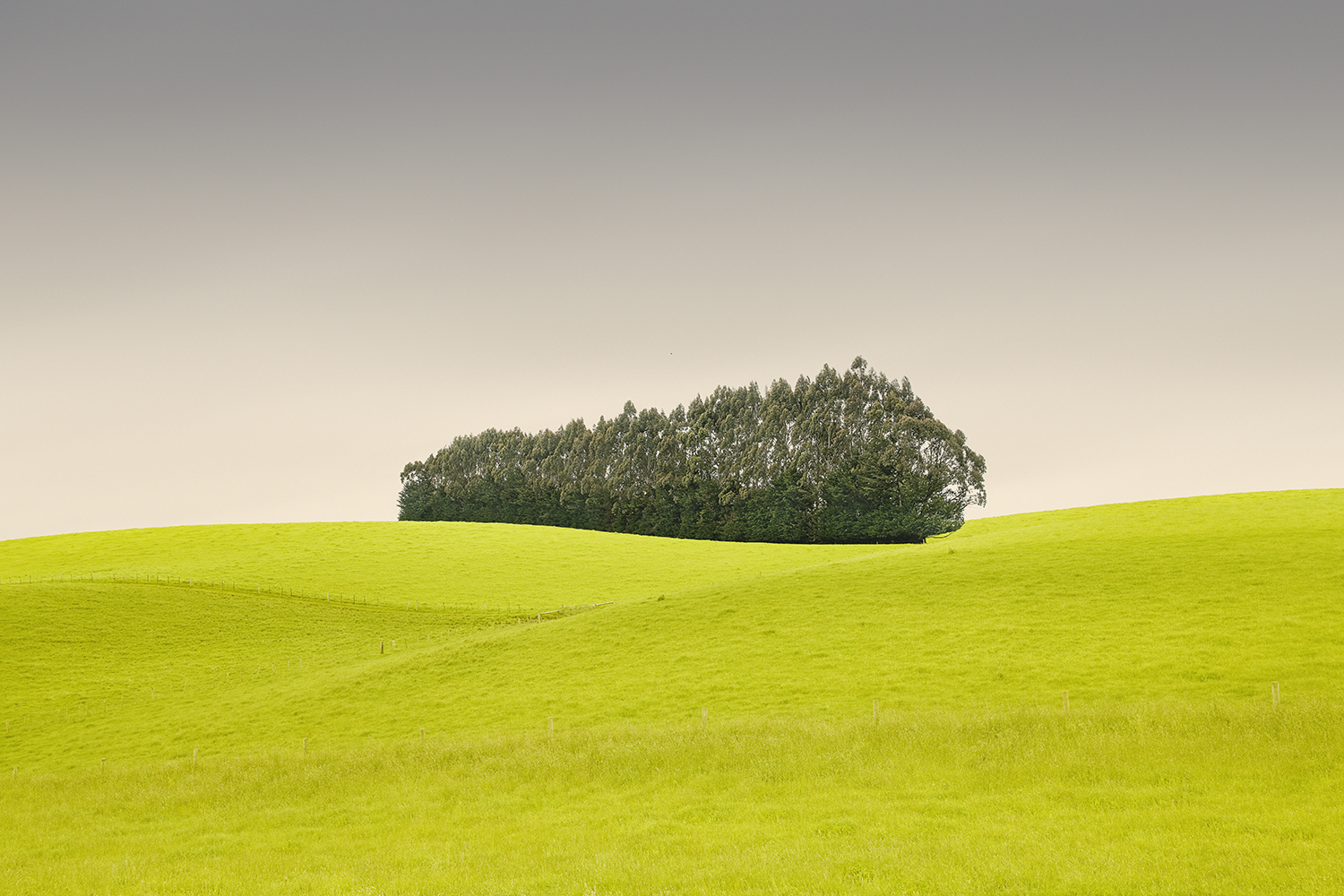 UNBOUNDED NO.7 -NEW ZEALAND -2018