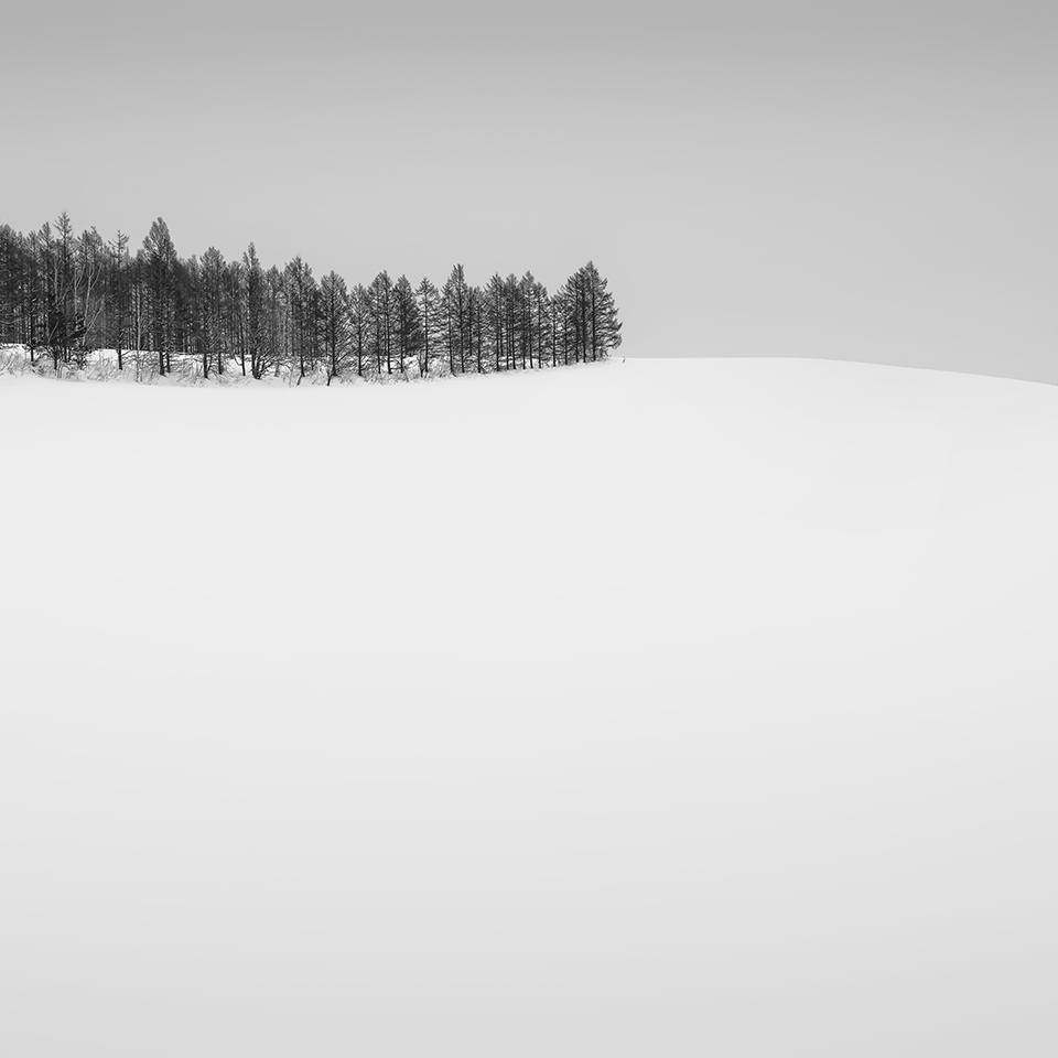 SNOW TREE NO.13 -BIEI -HOKKAIDO -2017